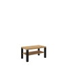Stolik kawowy GOMEZ 100x55